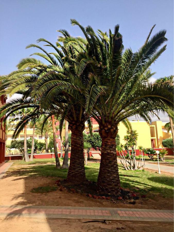 Fuerteventura - La Caleta, Parques Holandes Daire La Oliva Dış mekan fotoğraf